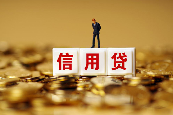 成都新津哪里可以借私借-成都新津个人贷款都有哪些平台-成都新津小额贷款
